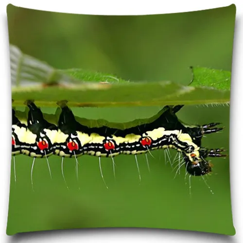 Подушка без внутренней ткани креативная насекомое полиэстер квадратный