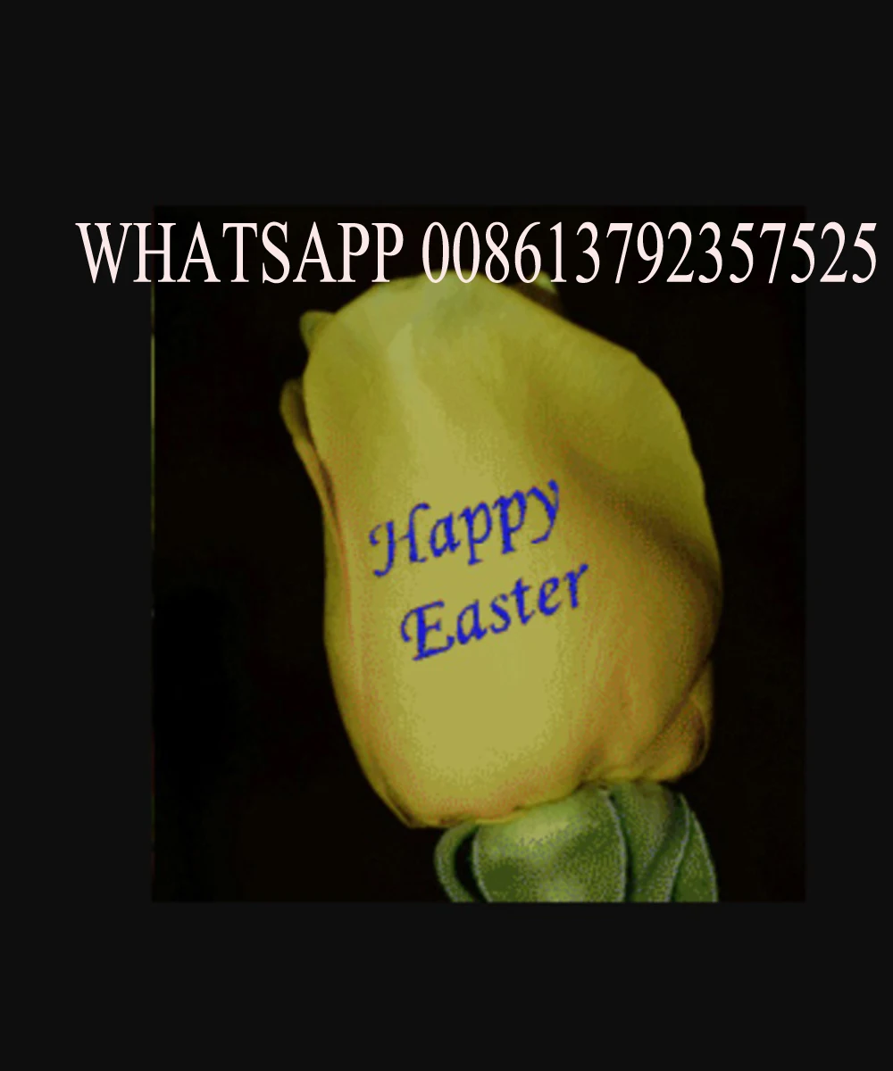 5 для покраски ногтей с собственными изображениями Одобрено CE печатная машина