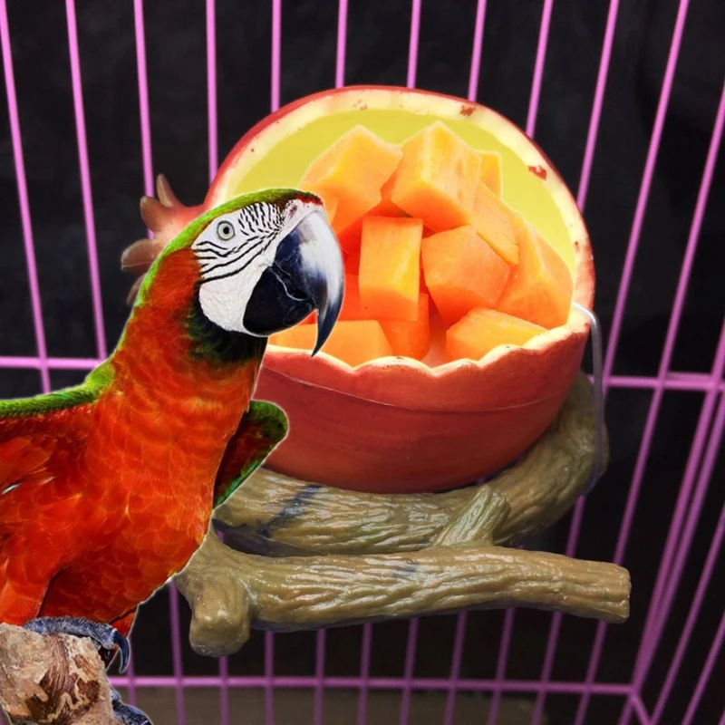 Миска в форме фруктов кормушки поилки для птиц диспенсер воды контейнер домашних