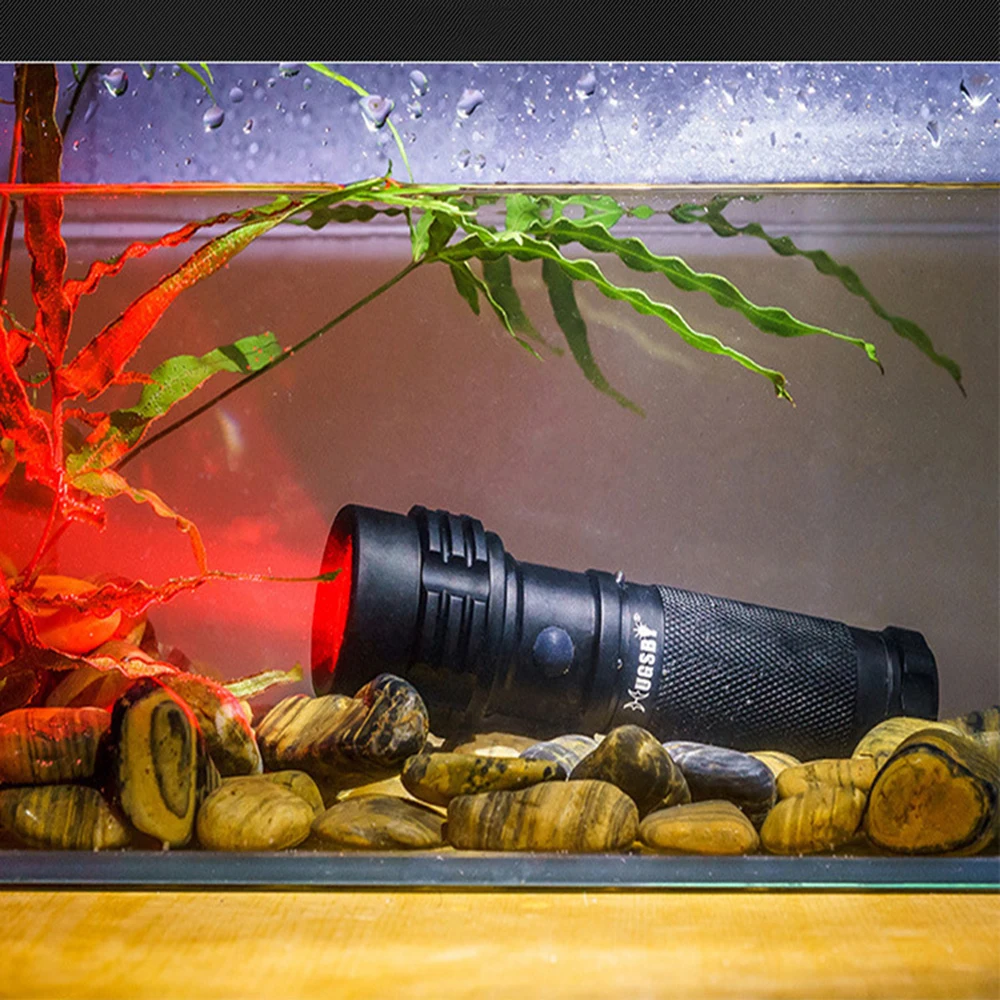 Зеленый красный белый свет CREE LED лампе мини фонарик AAA Открытый Отдых на природе