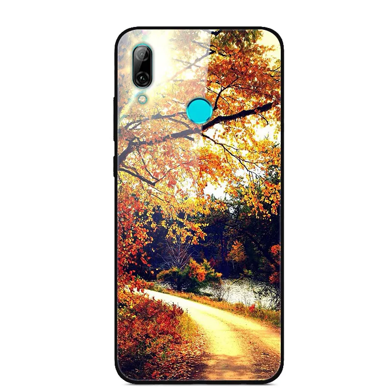 14 Для huawei P Smart чехол, закаленное стекло, задняя крышка, Жесткий Чехол для huawei P Smart, POT-LX1, чехол для POT-LX3, PSmart, чехол - Цвет: 14