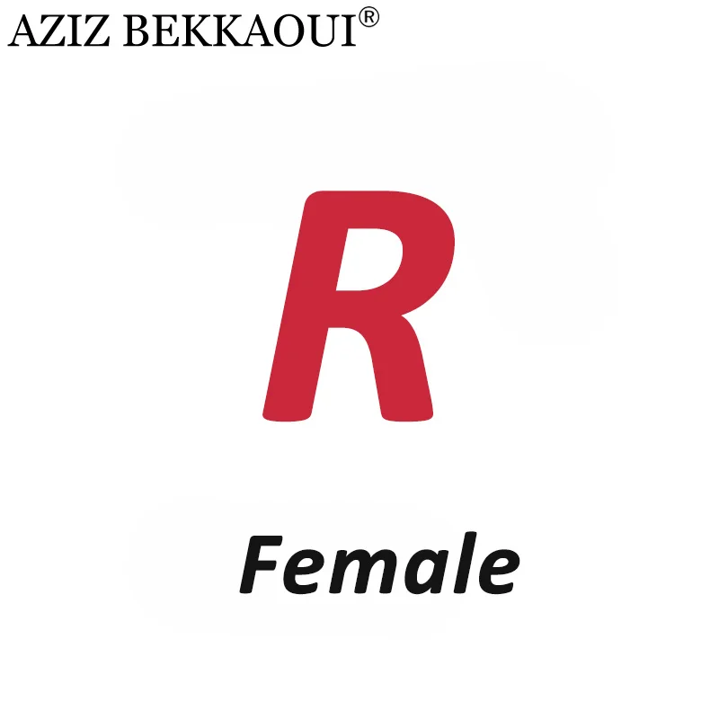Female R AZIZ BEKKAOUI DIY обслуживание на заказ специальный зимний подарок для друзей, любимых подарок на день Святого Валентина Прямая поставка 3040-49 - Окраска металла: Female R