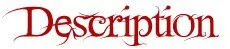30 шт., Трендовое ожерелье из сплава, волнистая вода, Женские Ювелирные изделия, воротники для самостоятельного изготовления ювелирных изделий, аксессуары
