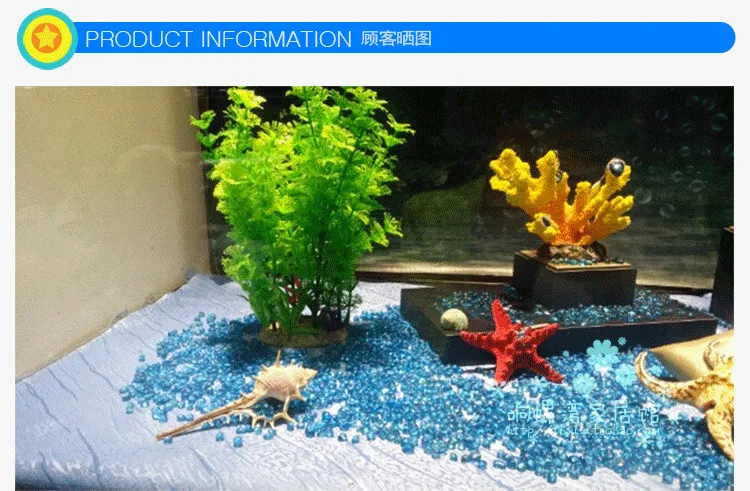 HappyKiss 1 pcs natural Real White Finger Star fish Drapery Hold Great for weddings or asymmetry party sea shells conch