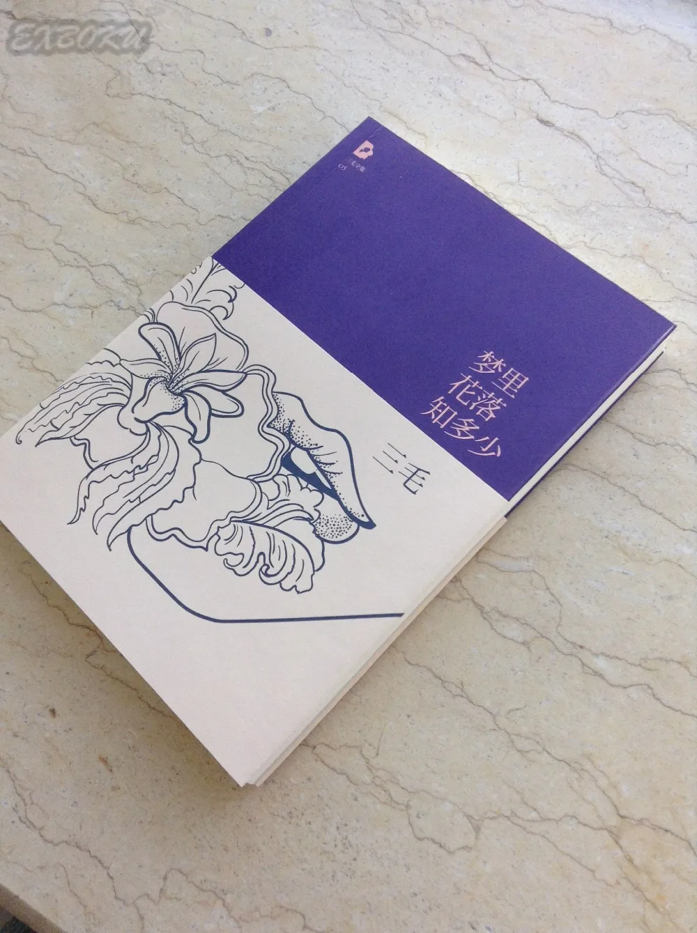 Never-flower in Never-dream meng li hua luo zhi duo shao от San Mao/Китайская самая известная история