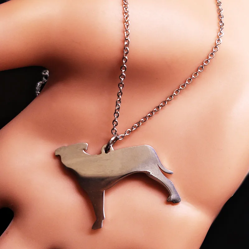 Ожерелья и кулоны для собак из нержавеющей стали с надписью Best Friend Dog Tag Chocker