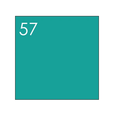 57 TOUCHNEW, мягкая кисть, маркер, двойная головка, на спиртовой основе, эскиз, маркер для анимации, манга, профессиональный рисунок, дизайнерские принадлежности - Цвет: 57