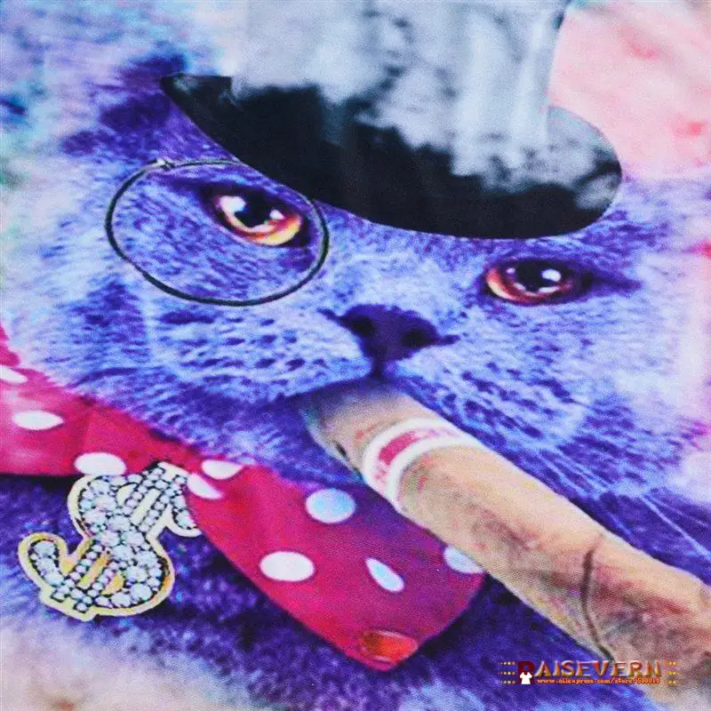 Raisvern, новинка, галактика, космос, 3D футболка, милый котенок, кошка, есть тако, пицца, Забавные топы, футболка, короткий рукав, летние футболки