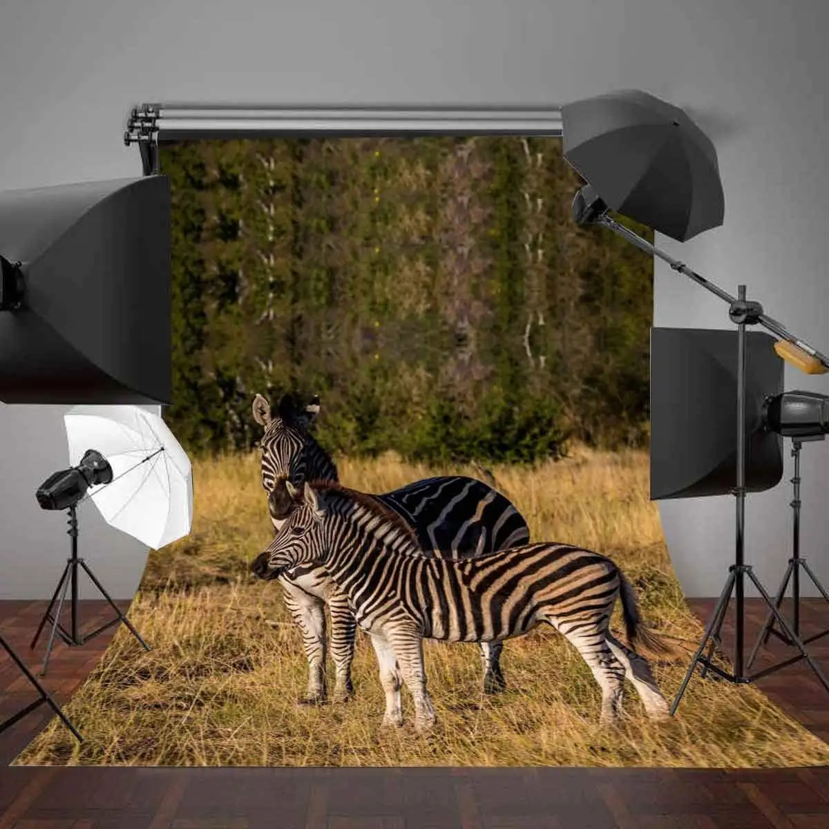 5x7ft Stopped Zebras Backdrop Outdoor Travel Photography Background Studio Props | Электроника