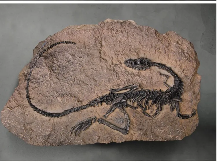 Смола моделирование динозавра бронтозавр fossil творческий ручной работы Домашний Декор Парк Юрского периода частный художественный