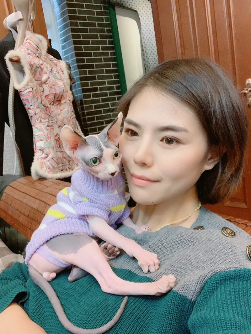 [MPK Cat Wear] очаровательные свитера для кошек, новая серия SWZ, одежда для кошек для холодного сезона