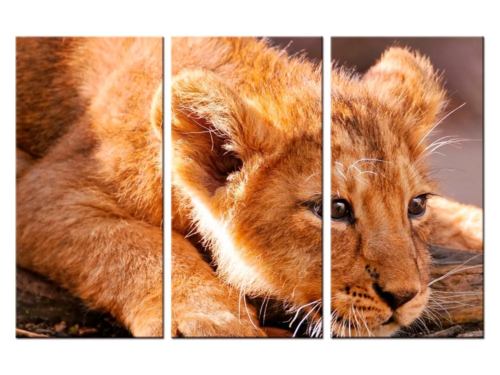 

3 pieces / set Lion Canvas Art Print Painting Poster Wall Pictures for Home Decoration wall decor