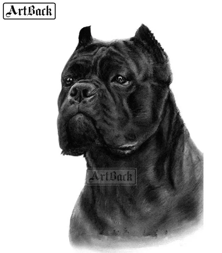 Животные 5D алмазная живопись черная собака икона полная квадратная дрель 3d