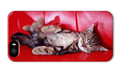 Free Shipping Hipster for iPhone 5 slim case Kitty sleeping Couch 5/5S |