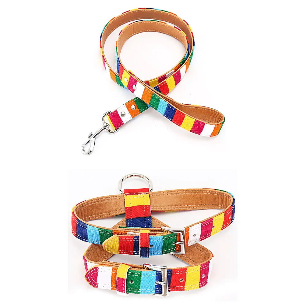 Harness leash set Поводок для собак, Цветной полосатый поводок для собак, ошейник для собак, Щенячий канат, шлейка для чихуахуа, поводок для кошек, аксессуары для домашних животных LX0002 - Цвет: Harness leash set