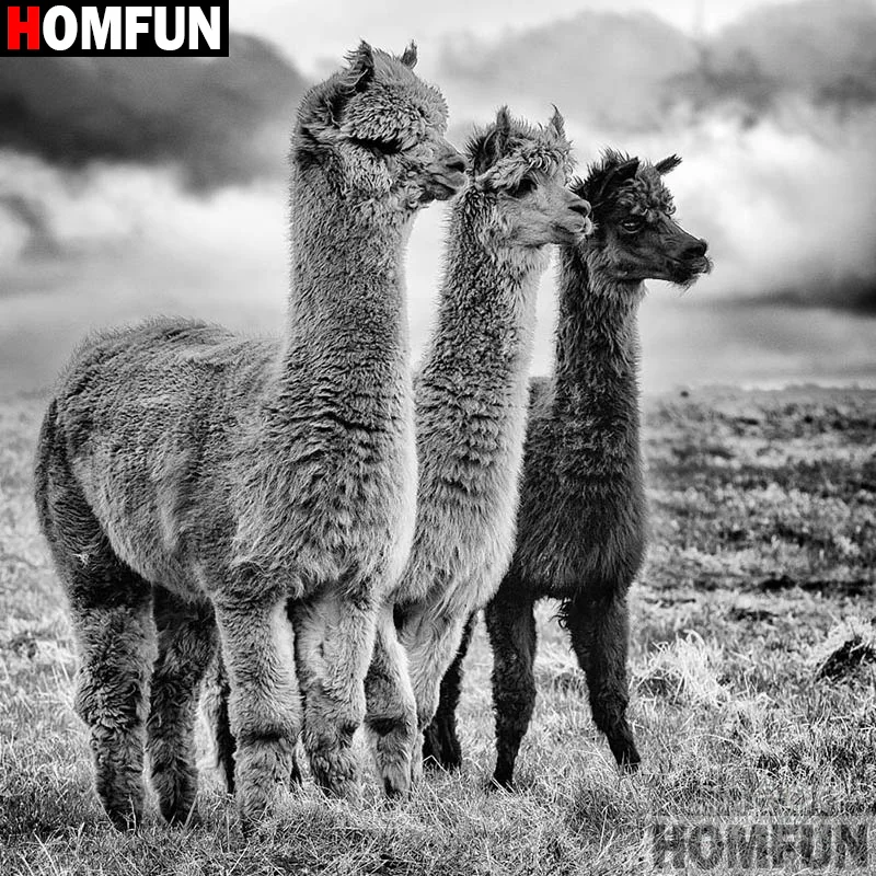 HOMFUN DIY 5D Diamond Painting &quotAnimal alpaca&quot Full Embroidery Sale Picture Of Rhinestones For Festival Gifts A19635 | Дом и сад