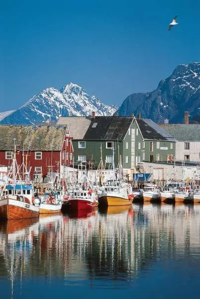 Skl зимний спортивный Пейзаж Швеция путешествие чудо Скандинавская Скандинавия