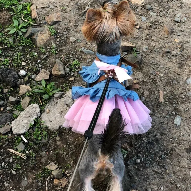 Домашнее животное джинсовая подсветка милая розовая голубая собака платье для