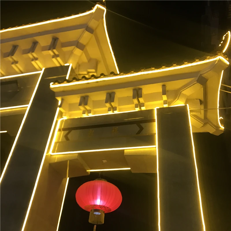 12 В модель DIY Неоновый светодиодный фонарь теплый