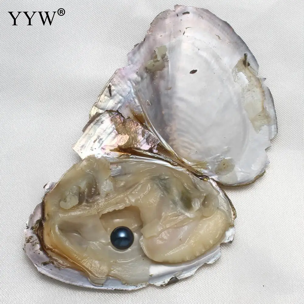 5 шт./лот Пресноводный Культивированный Жемчуг Love Wish Oyster Shell смешанный цвет