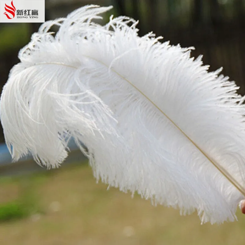50 шт./лот белое страусиное перо 35 40 см 14 16 дюймов|white ostrich feathers|decorative feathersostrich feather |