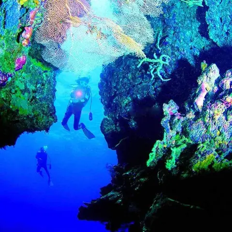 TRLIFE УФ фонарик для дайвинга 395nm фиолетовый