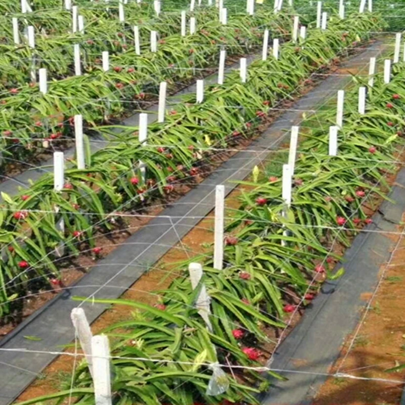 Сельскохозяйственная теплица для контроля сорняков длина 5 м садовая ткань