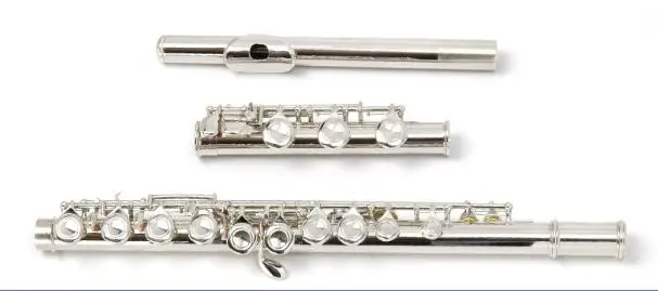 Играющая C-flat flute 17-hole C-tone E-key split никелированная instrument promotion | Спорт и развлечения