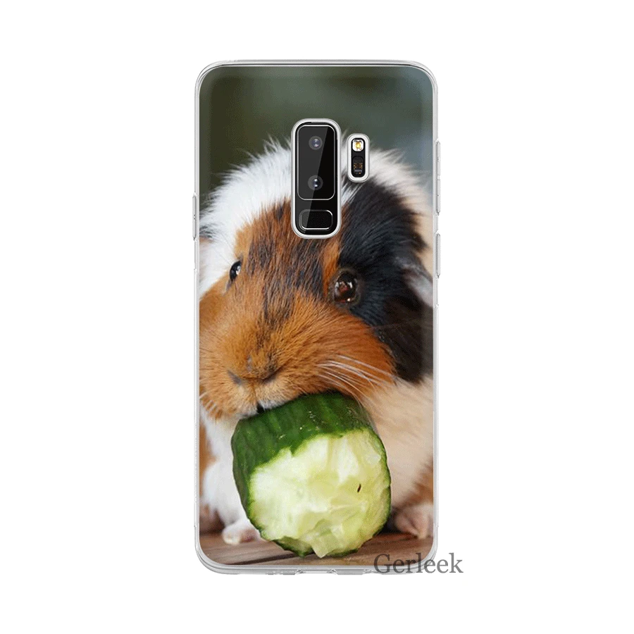 Desxz Squirrel Peanut Mouse Case For Samsung Galaxy S3 S4 S5 S6 S7 Edge S8 S9 S10 Plus S10e | Мобильные телефоны и