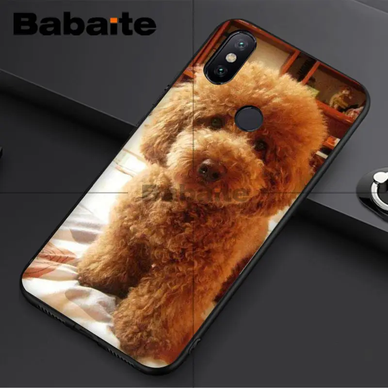 Babaite миниатюрный черный чехол для сотового телефона с щенком шнауцера redmi 5plus 5A 6pro
