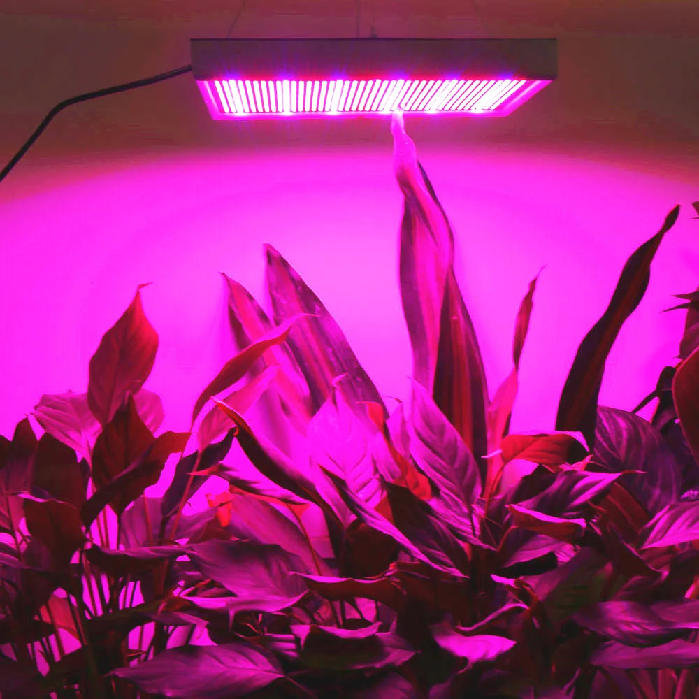 

[2/Pack] Full Spectrum 200W LED Grow Light 2009LEDs Indoor Tent Greenhouses Hydroponics Plants Growth Lamp Wholesale