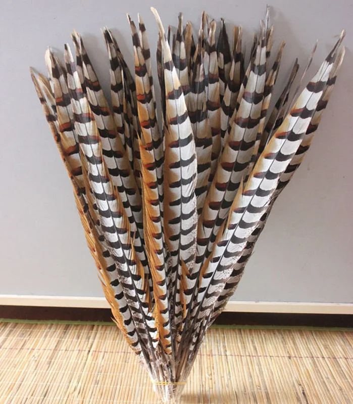

hot 10 PCS natural pheasant tail feathers of natural feather 20-22 inches / 50 to 55 cm