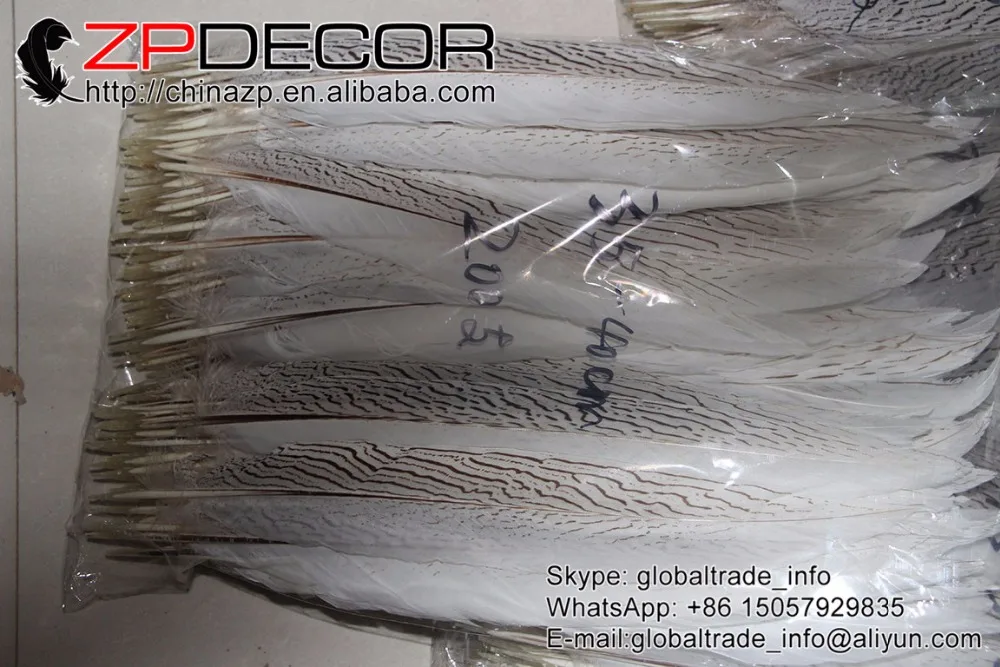 ZPDECOR 14-16 дюймов (35-40 см) 50 шт.лот, красивые отбеленные белые серебряные перья фазана для Showgirl, карнавальные костюмы, головной убор (art.: 79db90256) - 79db90256