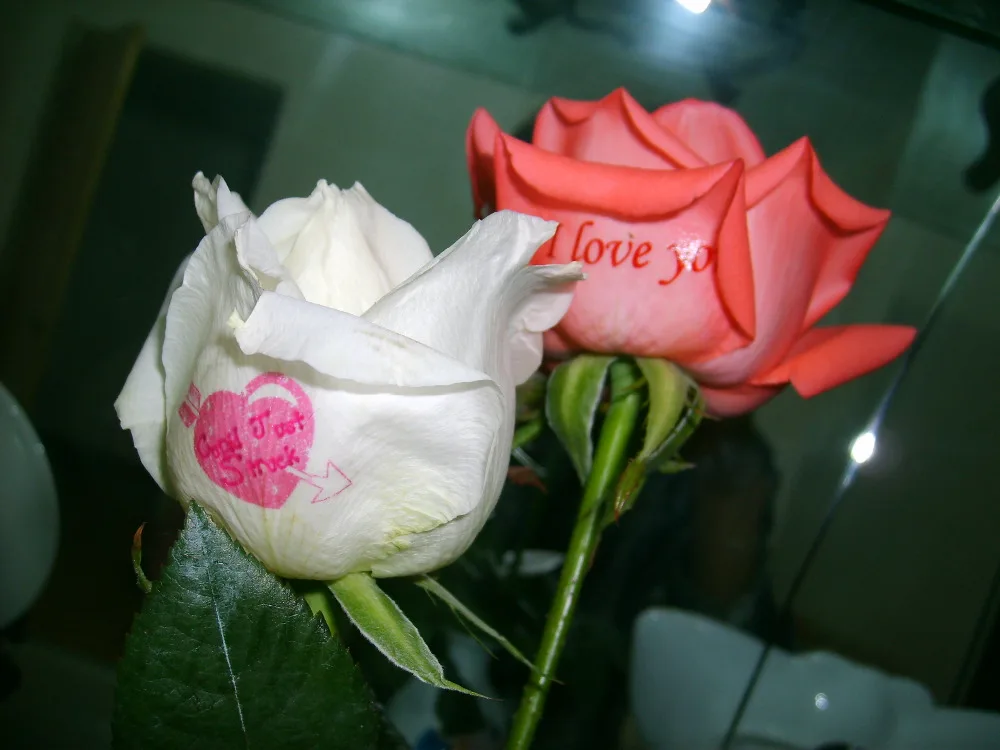 Размер A4 (10 шт./лот) подходит для всех видов лазерных принтеров