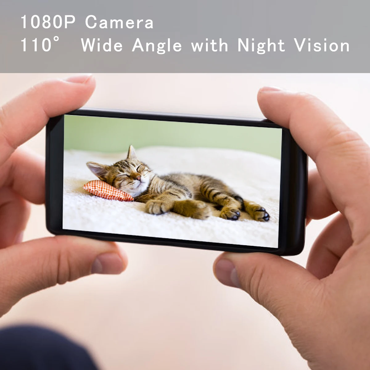 Iseebiz 3л автоматическая кормушка для собак и кошек 1080P HD WiFi камера для домашних животных с ночным видением для домашних животных 2-Way аудио связь 12 еды