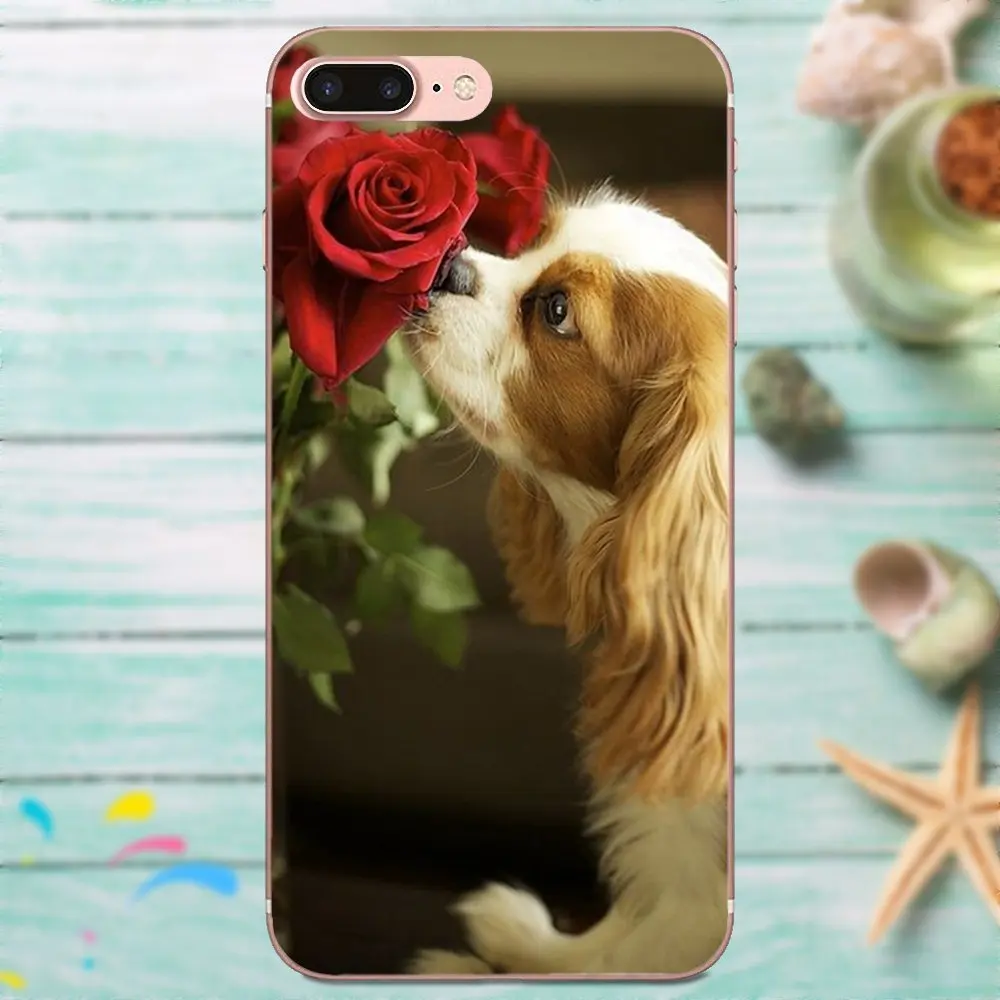 Высокое качество чехол для телефона милый кавалер Кинг чарльз спаниель собака