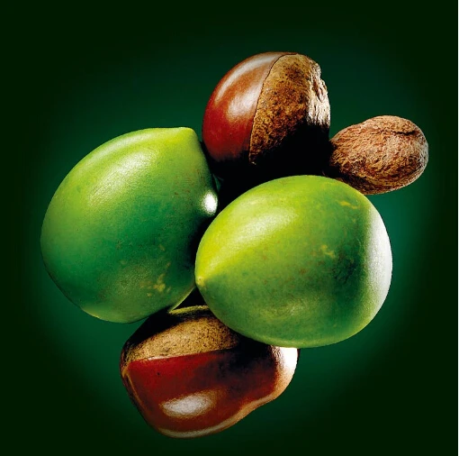 Бесплатная доставка 100 г органическое чистое масло ши неочищенное свежее