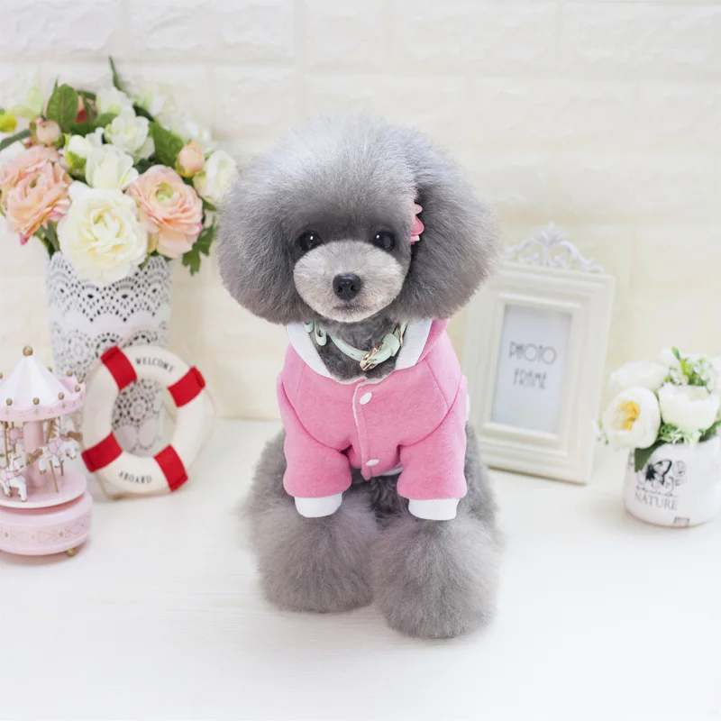 Собака балахон зима Одежда для собак Четыре Ноги горячая Распродажа