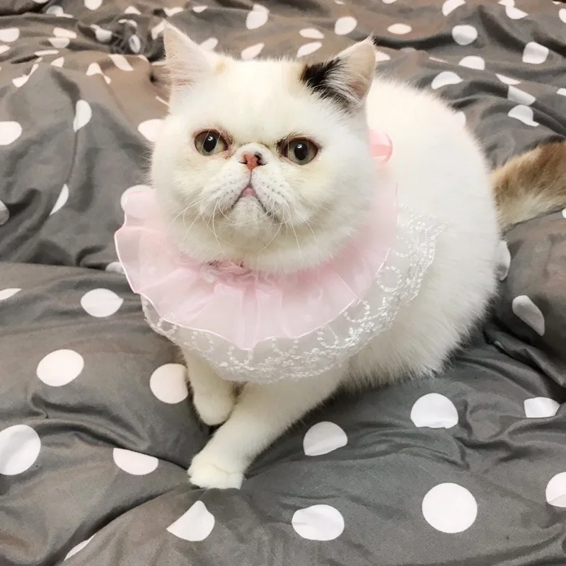 Собака Кошка милый воротник ожерелье котенок щенок девочка костюм декоративный