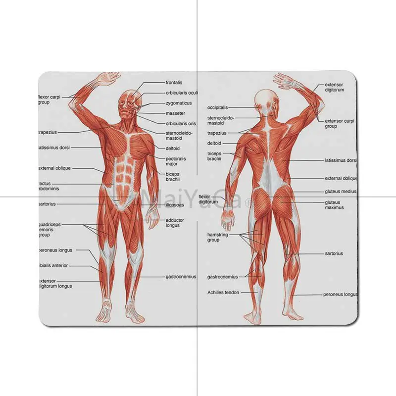 

MaiYaCa medicine anatomy Office Mice Rubber Mouse Pad 2018 Hot Professional Gamer Mouse pad Unique Desktop Pad Game Mousepad