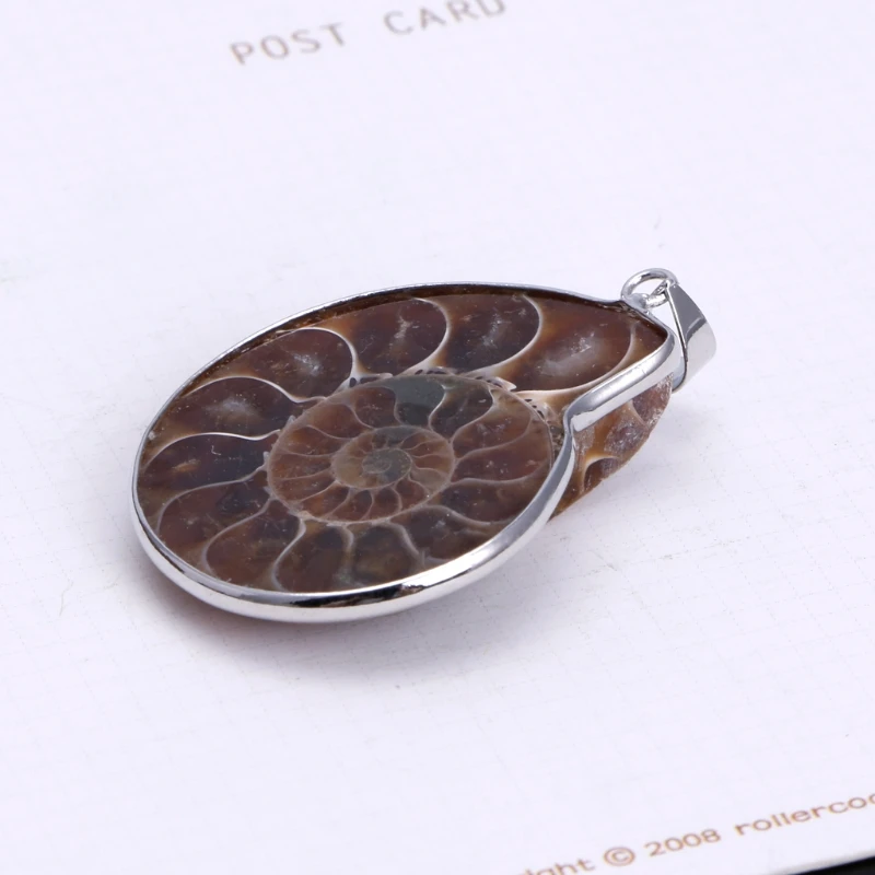 Натуральный аммонит окаменевшая раковина подвеска улитка свободные каменные