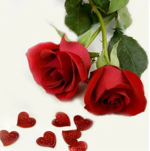 Новинка 2017 картина Fallout с эффектом масс Красивые розы Картина на холсте