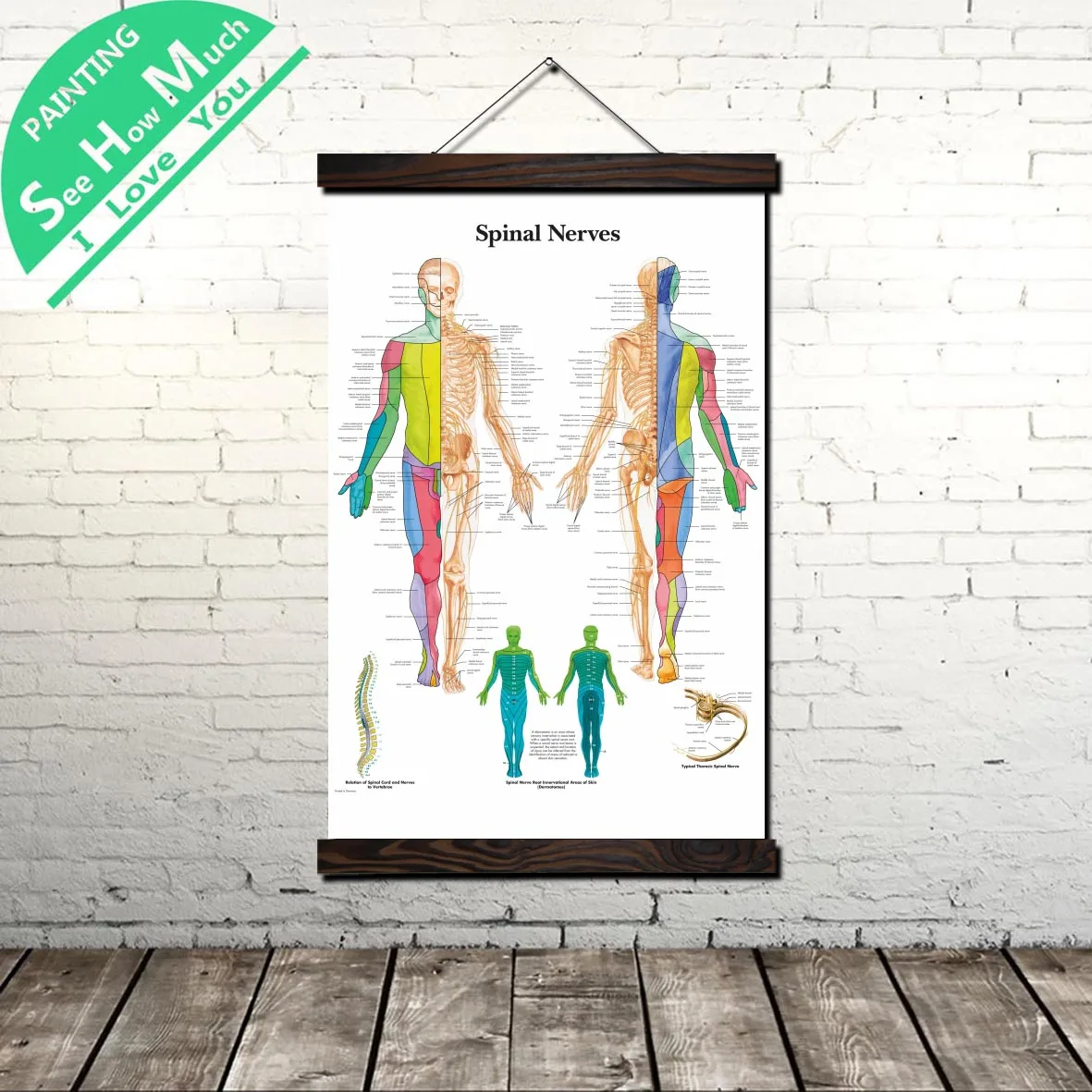 

Spinal Nerves Chart Scroll Painting Canvas Vintage Poster and Prints Wall Art Pictures Living Room Bedroom Farmhouse Decoration