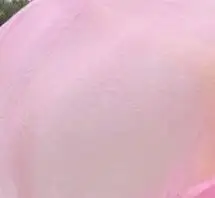 Аксессуары для танца живота 1,2/1,5/1,8 Msilk вентилятор для танца живота для девочек вентилятор для танцев для женщин реквизит для танца живота веер пара - Цвет: pink