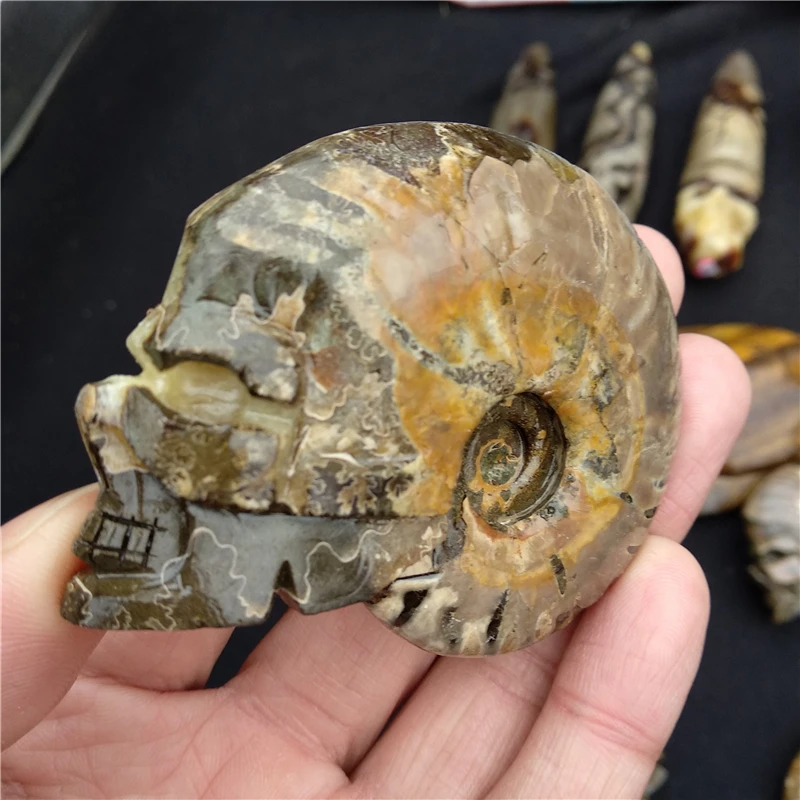 DHX SW натуральный аммонит раковины fossil ручной резной череп Healing драгоценный камень minarel образцы резьба Прохладный Череп