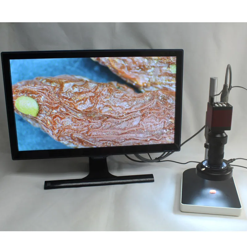 Камера микроскопа 2 0-мегапиксельная 1/3 CMOS промышленная HDMI VGA выходы 30 кадров/с