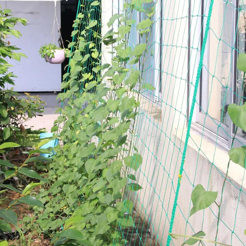 Recyclable Plant Nets Climbing Net Nylon Trellis Netting 1.8*1.8M Noylon Mesh Vining Vegetables Orchard Grape Vine |