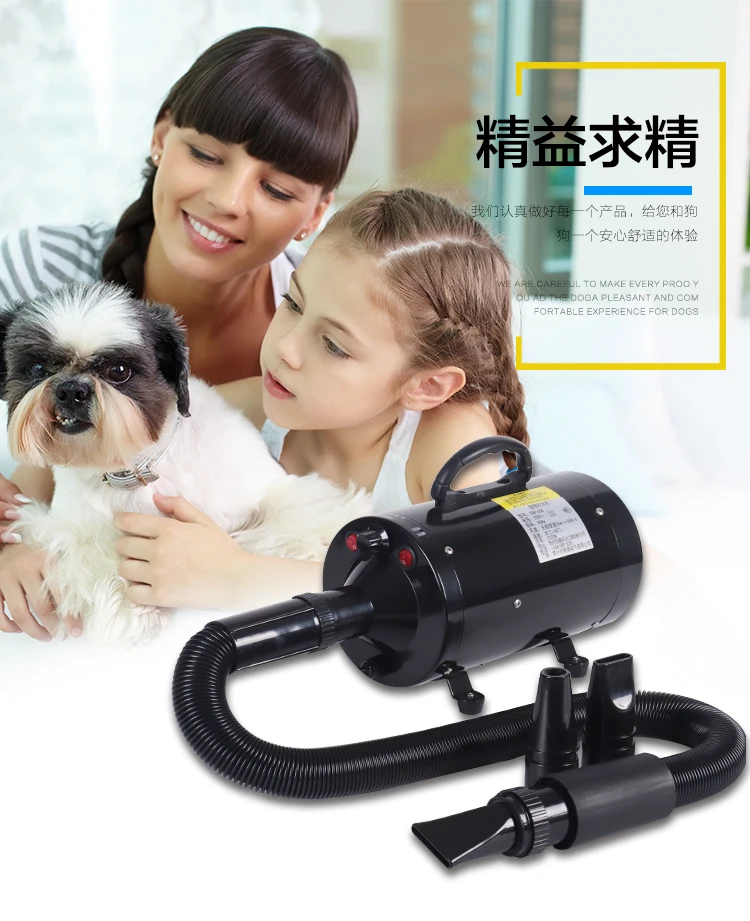 Pet профессиональная электрическая машина для воды 2200 Вт Бесшумная собачья шерсть сушилка для домашних животных магазин фен большая собачья шерсть воздуходувка аппарат сварочный