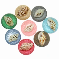 hot sale 10pcs 14mm natural shell shiny beach filling round cabochonsdome cover beads cameo settingsdiy handmade accessories