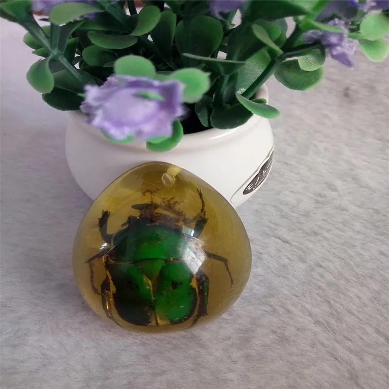Plum Кулон из натурального янтаря пчелиный воск насекомое - Color: Plum